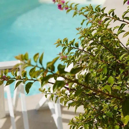 Mon Repos Palace “art Hotel” Operated By Ella (adults Only) 4*